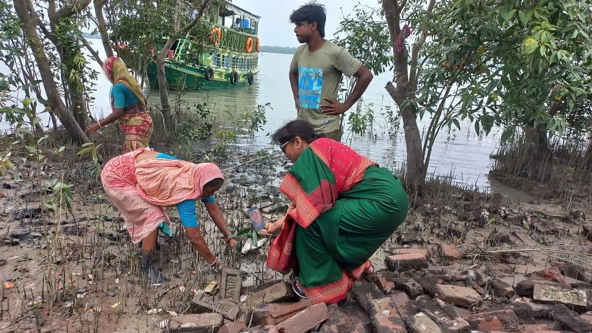 Women plant mangrove saplings among the stones of an eroding riverbank