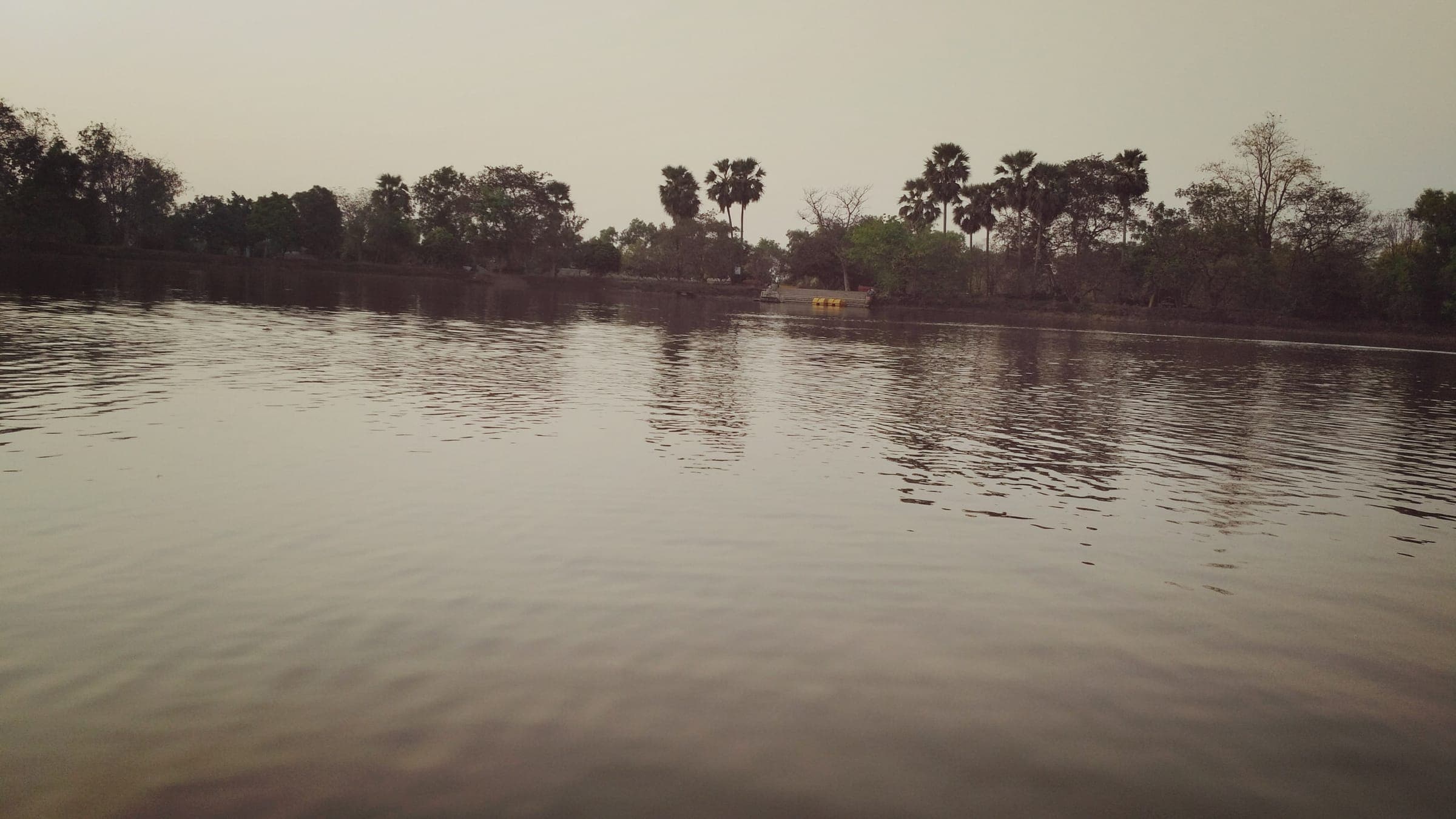 A calm wetland at Santiniketan, West Bengal
