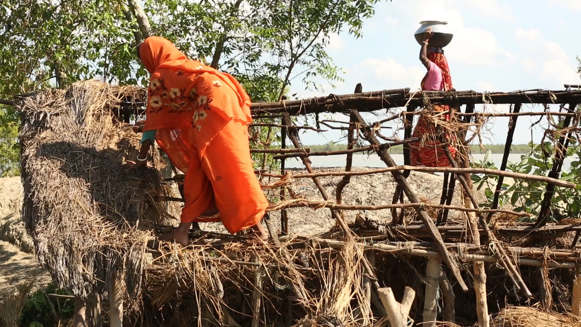 Women in bright saris at work beside the water in the Sundarbans